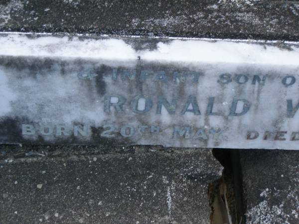 Albert J. ABRAHAM,  | died 19 Nov 1958 in his 72nd year;  | Blanche Marion,  | died 4 Jan 1964 aged 69 years;  | Ronald Wilfred,  | infant son,  | born 20 May,  | died 29 June 1931;  | Mudgeeraba cemetery, City of Gold Coast  | 