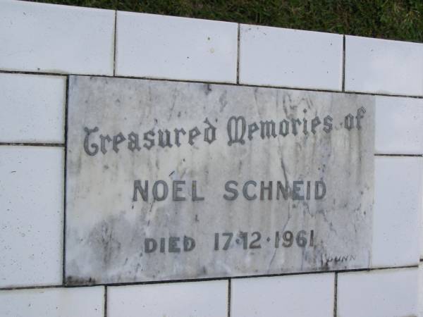 Noel SCHNEID,  | died 17-12-1916;  | Mudgeeraba cemetery, City of Gold Coast  | 