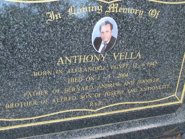 Anthony VELLA,  | born 12-6-1942 Alexandria Egypt,  | died 1-9-2004,  | father of Bernard, Andrew & Jennifer,  | brother of Alfred,  | son of Joseph & Antionette;  | Mudgeeraba cemetery, City of Gold Coast  | 