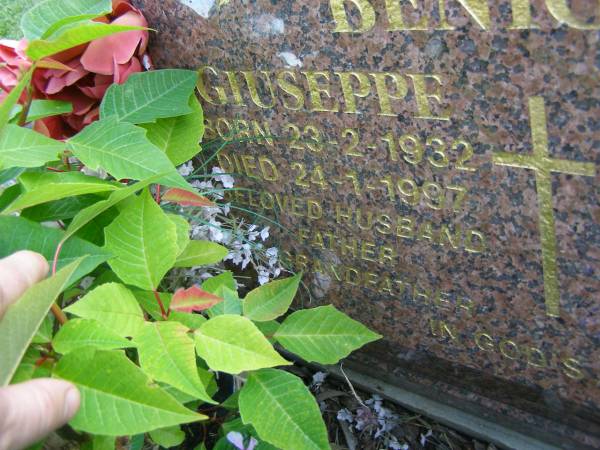 Giuseppe BENIGNO,  | born 23-2-1932,  | died 24-1-1997,  | husband father grandfather;  | Mudgeeraba cemetery, City of Gold Coast  | 