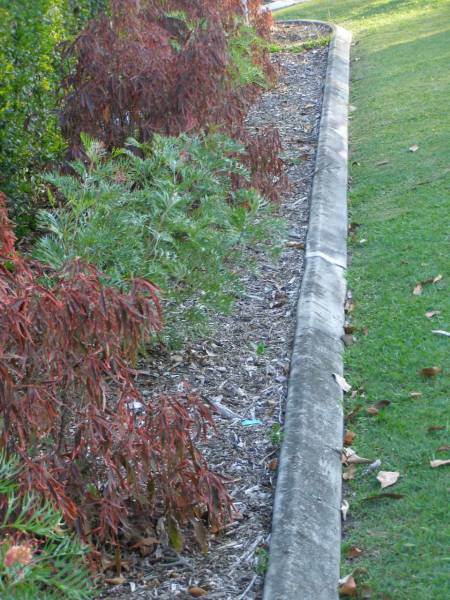 Mudgeeraba cemetery, City of Gold Coast  | 