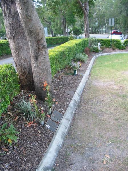 Mudgeeraba cemetery, City of Gold Coast  | 