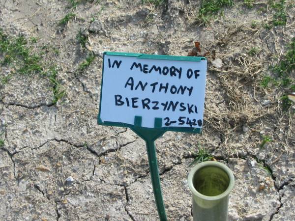 Anthony BIERZYNSKI;  | Mudgeeraba cemetery, City of Gold Coast  | 