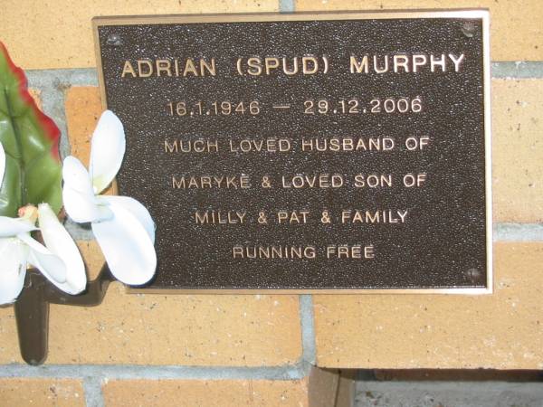 Adrian (Spud) MURPHY,  | 16-1-1946 - 29-12-2006,  | husband of Maryke,  | son of Milly & Pat;  | Mudgeeraba cemetery, City of Gold Coast  | 