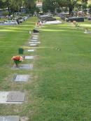
Mudgeeraba cemetery, City of Gold Coast
