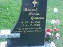 
Marcel Horia GANCEA,
29-8-1960 - 4-2-2002;
Mudgeeraba cemetery, City of Gold Coast
