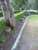 
Mudgeeraba cemetery, City of Gold Coast
