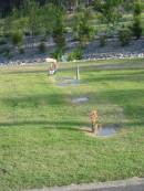 
Mudgeeraba cemetery, City of Gold Coast

