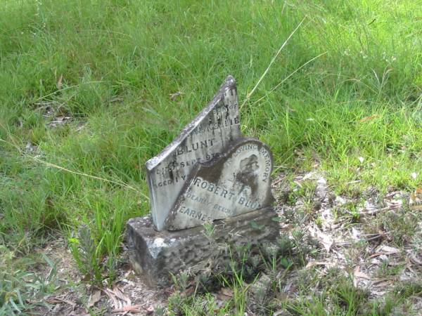 Robert BLUNT,  | son of Earnest & Nellie BLUNT,  | died 9 Sept 1919, aged 1 year 9 months;  | Mundoolun Anglican cemetery, Beaudesert Shire  | 