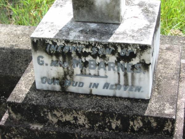 Albert, infant son of G & M BARNES;  | Mundoolun Anglican cemetery, Beaudesert Shire  | 