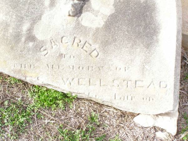 Charles? WELLSTEAD,  | died 10 Sept 187? aged 49 years;  | Mary Ann,  | daughter of Chas & Jane WELLSTEAD,  | died 7 Sept 1867 aged 2 years;  | Murphys Creek cemetery, Gatton Shire  | 