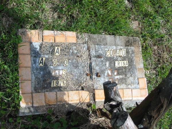 A A O O,  | 3 1976;  | CO ATO ERINA;  | Murwillumbah Catholic Cemetery, New South Wales  | 