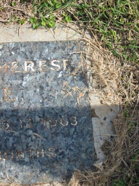 Colleen Therese HYDE,  | 29-9-1963 - 25-12-1963 aged 3 months;  | Murwillumbah Catholic Cemetery, New South Wales  | 