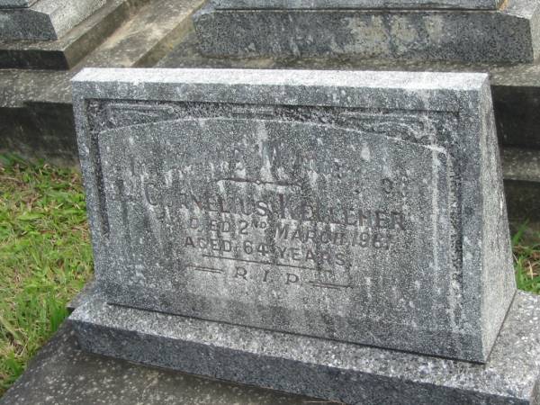 Cornelius KELLEHER,  | died 2 March 1961 aged 64 years;  | Murwillumbah Catholic Cemetery, New South Wales  | 