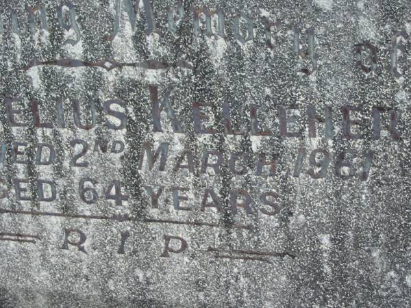 Cornelius KELLEHER,  | died 2 March 1961 aged 64 years;  | Murwillumbah Catholic Cemetery, New South Wales  | 