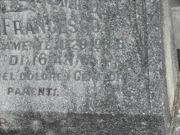 Francesco COTELLI,  | died 29-9-56 aged 16 years;  | Murwillumbah Catholic Cemetery, New South Wales  | 