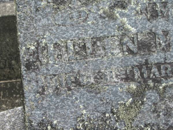 Ellen Mary MCLEOD,  | mother,  | died 31 March 1956 aged 74 years;  | Murwillumbah Catholic Cemetery, New South Wales  | 