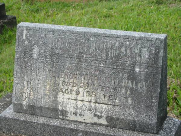 Ellenor Mary Ann DALEY,  | sister,  | died 28 Feb 1954 aged 58 years;  | Murwillumbah Catholic Cemetery, New South Wales  | 