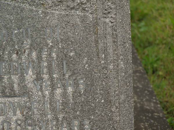 Mary Helen TREDWELL,  | mother  | died 31 Aug 1951 aged ?? years;  | Arthur TREDWELL,  | father,  | died 30 Dec 1953 aged 89 years;  | Murwillumbah Catholic Cemetery, New South Wales  | 