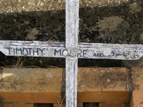 Timothy MOORE,  | aged 5 months;  | Murwillumbah Catholic Cemetery, New South Wales  | 