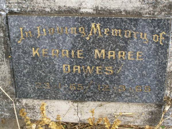Kerrie Maree DAWES,  | 23-1-65 - 12-3-65;  | Murwillumbah Catholic Cemetery, New South Wales  | 
