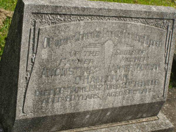 Augustine O'HALLORAN,  | father,  | died 26 June 1962 aged 80 years;  | Annie Moylan O'HALLORAN,  | mother,  | died 29 Feb 1956 aged 64 years;  | Murwillumbah Catholic Cemetery, New South Wales  | 