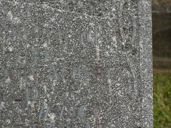 Mabel Mary MCDONALD,  | mother  | died 10-6-195 aged 60 years;  | Henry Albert MCDONALD,  | father,  | died 9-11-1964 aged 82 years;  | Murwillumbah Catholic Cemetery, New South Wales  | 