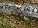 
Ellen Frances GRIFFIN,
died 1953?;
Murwillumbah Catholic Cemetery, New South Wales
