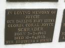 
Glorice Coral Joyce (Joycie) SCHRADER,
sister,
born 3-3-1943,
died 10-8-46,
loved by brothers & sister;
Murwillumbah Catholic Cemetery, New South Wales

