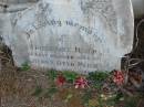 
Friederike MEIER
(wife of Henry Otto MEIER)
14 Aug 1905

Mutdapilly general cemetery, Boonah Shire
