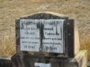 
William August KRUGER
10 Jul 1937
59 yrs

Minnie Caroline
17 Apr 1958
79 yrs

Mutdapilly general cemetery, Boonah Shire
