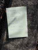 
William PEARSON
D: 2 Aug 1920
age 68

Agnes PEARSON
23 May 1927
aged 2 years

Mutdapilly general cemetery, Boonah Shire
