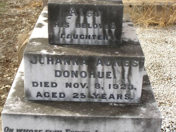 David DONOHUE,  | died 29 Sept 1936 aged 74 years,  | husband father;  | Johanna (Josie) Agnes DONOHUE,  | died 8 Nov 1923 aged 25 years,  | daughter;  | Mary DONOHUE,  | died 23 Feb 1953 aged 88 years,  | mother;  | Nobby cemetery, Clifton Shire  | 