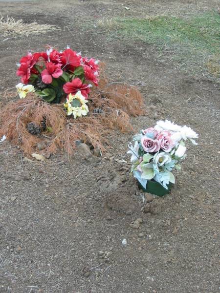 Nobby cemetery, Clifton Shire  | 