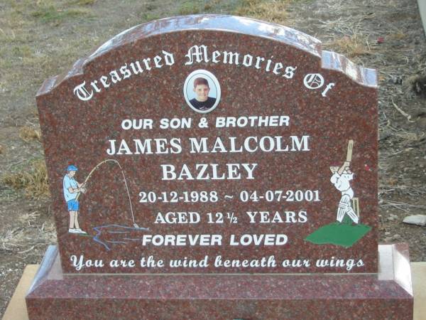 James Malcolm BAZLEY,  | 20-12-1988 - 04-07-2001 aged 12 1/2 years  | Nobby cemetery, Clifton Shire  | 