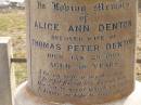 Alice Ann DENTON,
wife of Thomas Peter DENTON,
died 29 Jan 1909 aged 58 years,
wife mother,
erected by husband & children;
Thomas Peter DENTON,
died 6 Feb 1933 in his 79th year,
husband;
Victor DENTON,
died fighting Dardanelles June 1915;
Nobby cemetery, Clifton Shire