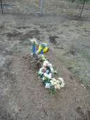 Nobby cemetery, Clifton Shire