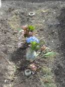 Nobby cemetery, Clifton Shire