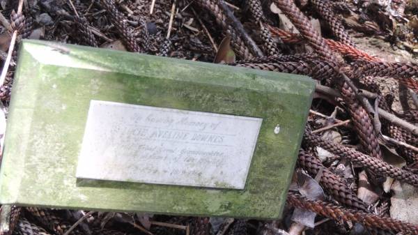 Lucie Aveline DOWNES  | great granddaughter of Adams of the Bounty  | 1-9-1896 - 18-9-1966  |   | Norfolk Island Memorial Park  |   | 