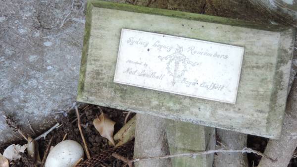 Ned Lenthall Boyd Buffett  |   | Norfolk Island Memorial Park  |   | 