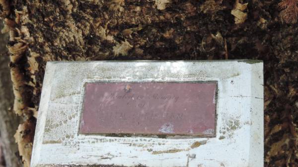 Allen? Christian  |   | Norfolk Island Memorial Park  |   | 