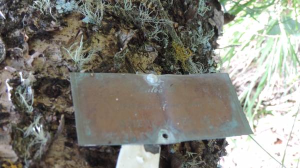   | Norfolk Island Memorial Park  |   | 