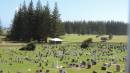 Norfolk Island Cemetery
