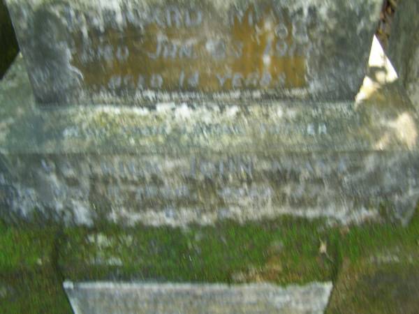 Daniel MAYE,  | killed in action France 5 Oct 1917 aged 29 years;  | Bernard MAYE,  | died 23 Jan 1919 aged 14 years;  | Patrick John MAYE,  | father,  | died 11 Nov 1920 aged 57 years;  | Thomas Patrick MAYE,  | died 26 July 1912 aged 37? years;  | North Tumbulgum cemetery, New South Wales  | 