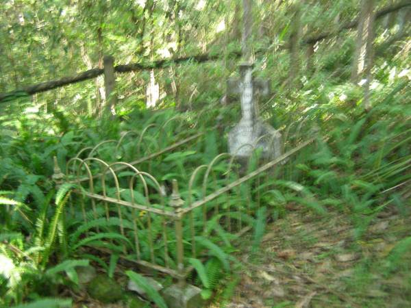Dorothea Mary Cecilia,  | infant daughter of Alex & Catherine MYERS,  | died 29 July 1898 aged 4 months;  | North Tumbulgum cemetery, New South Wales  | 