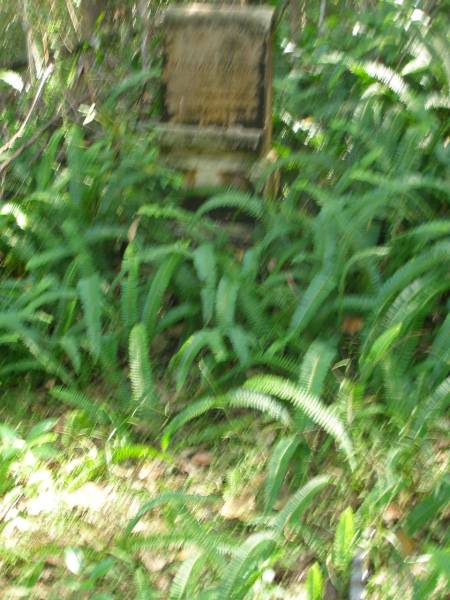 William WARNE,  | died Aug? 1904? in his 69th year;  | North Tumbulgum cemetery, New South Wales  | 