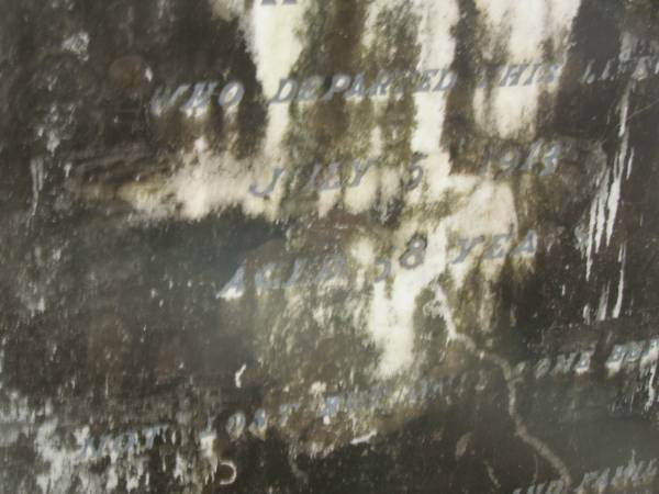 H.J. TREE,  | died 5 July 1913 aged 38 years,  | erected by wife;  | Elizabeth Ann,  | wife,  | aged 77 years;  | North Tumbulgum cemetery, New South Wales  | 