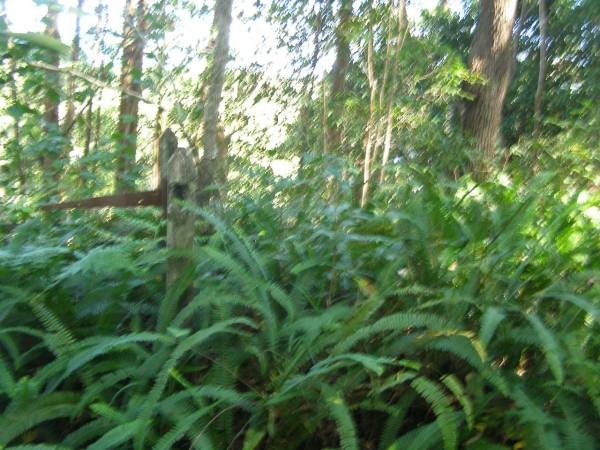 North Tumbulgum cemetery, New South Wales  | 