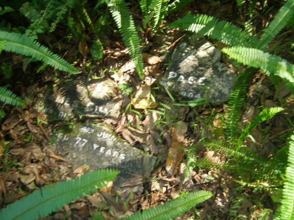 James Guy PAGE,  | died 4 July 1904 aged 77 years;  | North Tumbulgum cemetery, New South Wales  | 