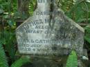 
Dorothea Mary Cecilia,
infant daughter of Alex & Catherine MYERS,
died 29 July 1898 aged 4 months;
North Tumbulgum cemetery, New South Wales
